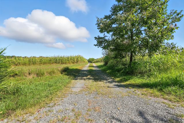 790 Squire Hall Rd, Bell Buckle, TN 37020