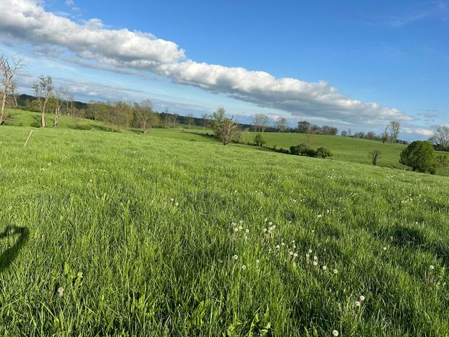 3489 Cynthiana Road, Georgetown, KY 40324