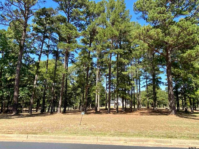 Lot 21 Leisure Ln, Frankston, TX 75763