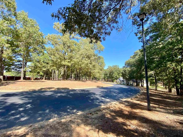 Lot 21 Leisure Ln, Frankston, TX 75763