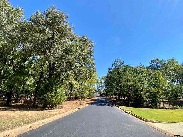 Lot 21 Leisure Ln, Frankston, TX 75763