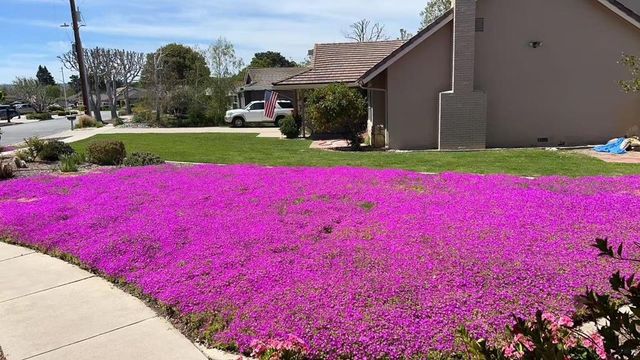 22720 Picador Drive, Salinas, CA 93908