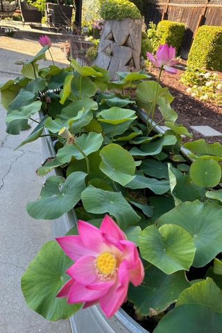 22720 Picador Drive, Salinas, CA 93908