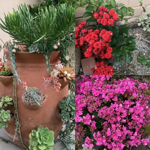 22720 Picador Drive, Salinas, CA 93908