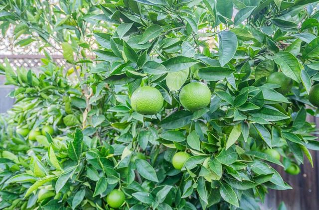 22720 Picador Drive, Salinas, CA 93908