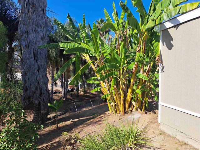 2907 S Santa Fe Ave 10, San Marcos, CA 92069