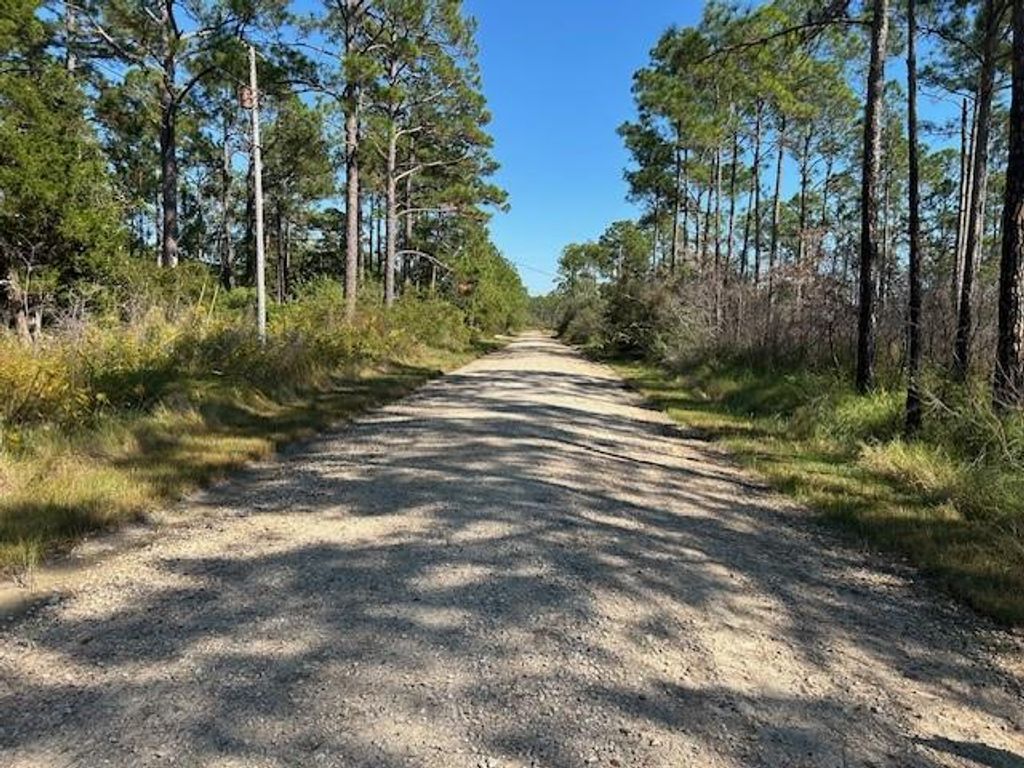 0 Michigan Avenue, Coden, AL 36523 — exterior