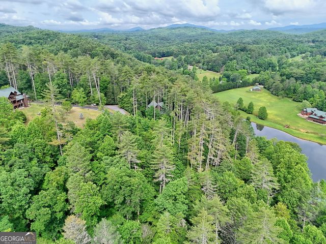 56 Walker Ridge Way, Mineral Bluff, GA 30559