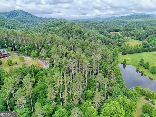56 Walker Ridge Way, Mineral Bluff, GA 30559