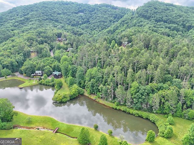 56 Walker Ridge Way, Mineral Bluff, GA 30559