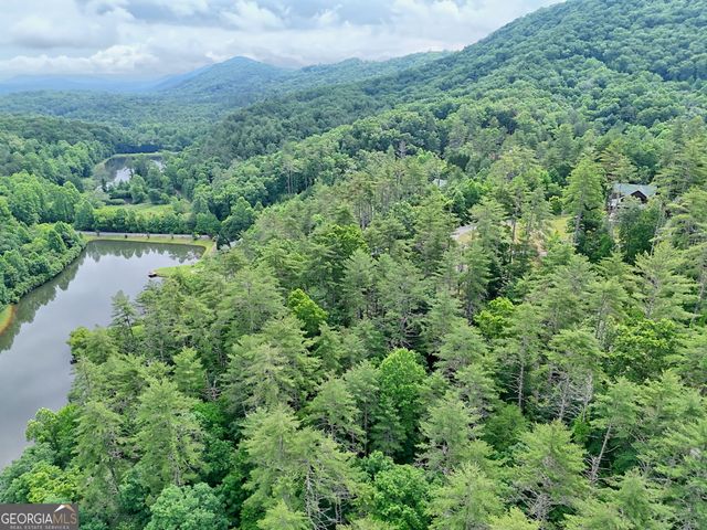 56 Walker Ridge Way, Mineral Bluff, GA 30559