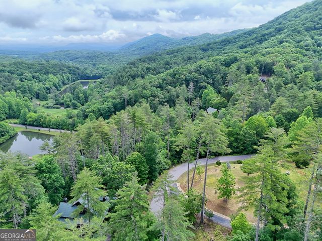 56 Walker Ridge Way, Mineral Bluff, GA 30559