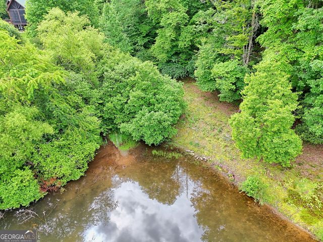 56 Walker Ridge Way, Mineral Bluff, GA 30559
