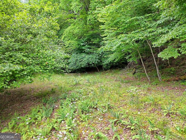 56 Walker Ridge Way, Mineral Bluff, GA 30559