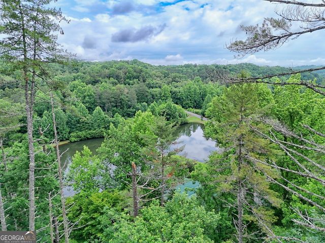 56 Walker Ridge Way, Mineral Bluff, GA 30559
