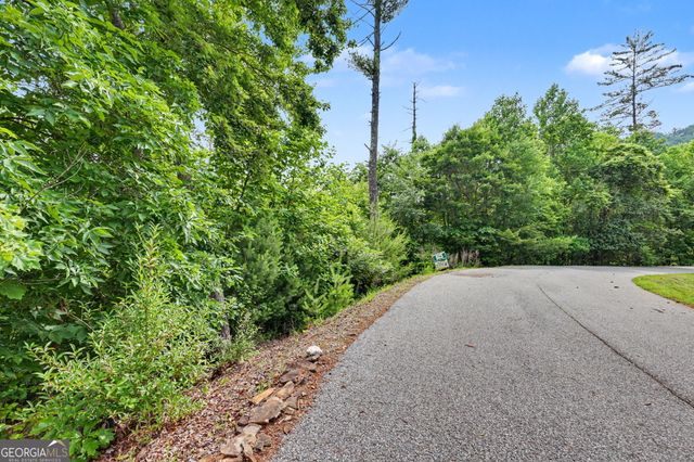 56 Walker Ridge Way, Mineral Bluff, GA 30559