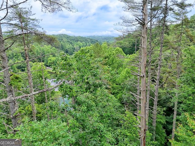 56 Walker Ridge Way, Mineral Bluff, GA 30559
