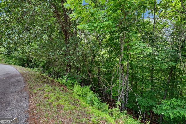 56 Walker Ridge Way, Mineral Bluff, GA 30559