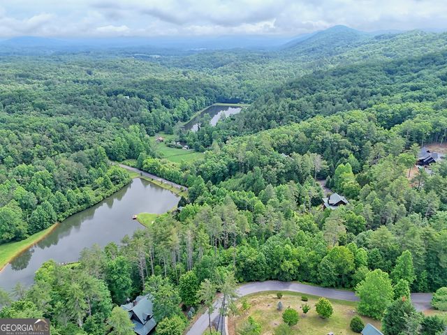 56 Walker Ridge Way, Mineral Bluff, GA 30559