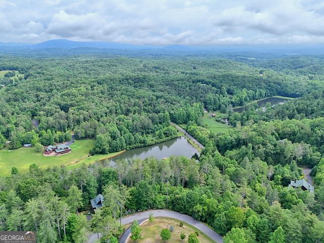 56 Walker Ridge Way, Mineral Bluff, GA 30559