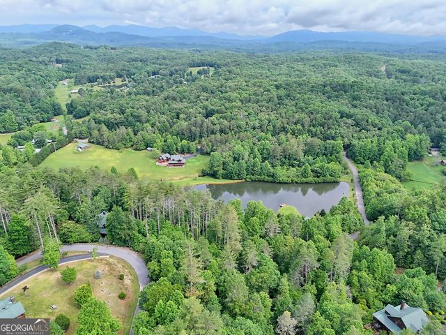 56 Walker Ridge Way, Mineral Bluff, GA 30559