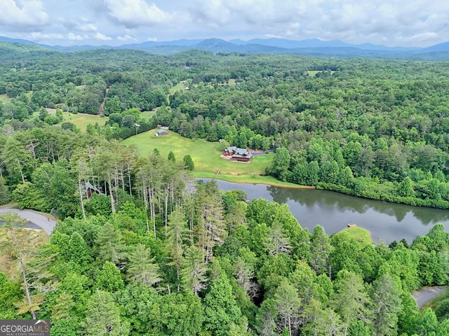 56 Walker Ridge Way, Mineral Bluff, GA 30559