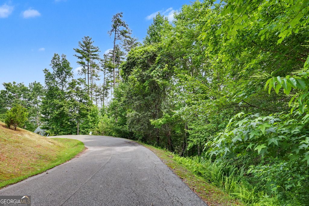 56 Walker Ridge Way, Mineral Bluff, GA 30559