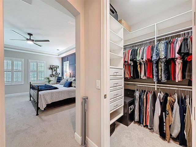 21931 WOODSHADOW WAY, Land O Lakes, FL 34637