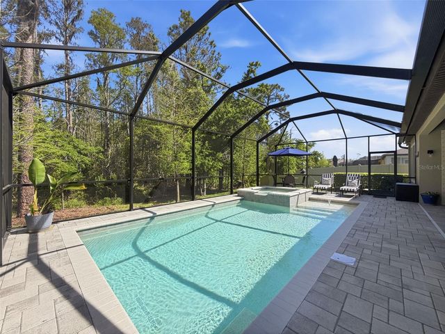 21931 WOODSHADOW WAY, Land O Lakes, FL 34637