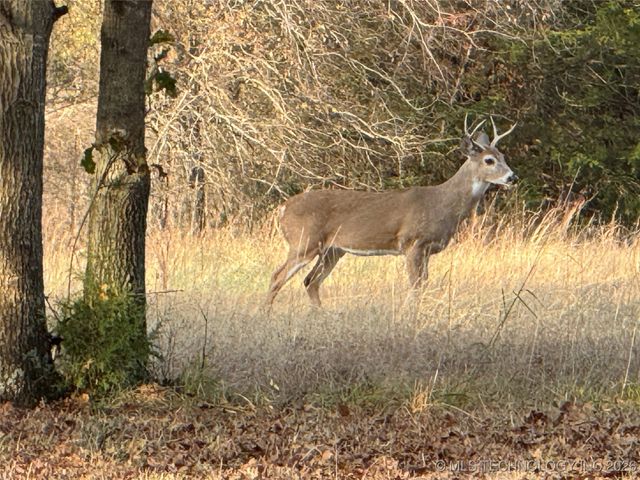 575 Majestic Hills, Ardmore, OK 73401