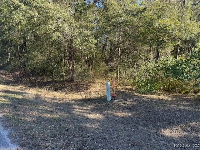 112 N Bauer Road, Lecanto, FL 34461