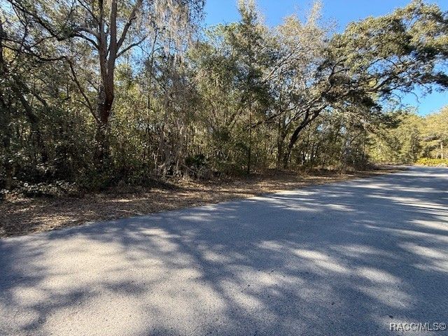 112 N Bauer Road, Lecanto, FL 34461