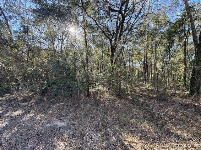 112 N Bauer Road, Lecanto, FL 34461