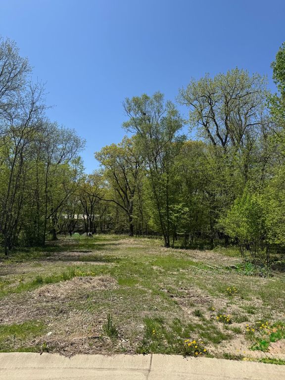 180 Woodland Drive, Henderson, MN 56044 — photo 3