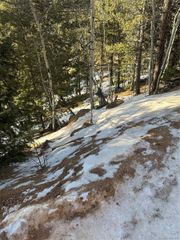 1600 Pikes Peak Drive, Divide, CO 80814
