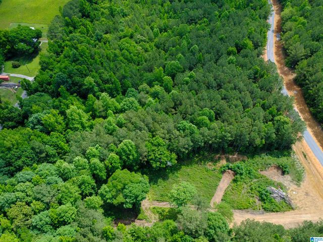 205 CRESCENT COURT, Odenville, AL 35120
