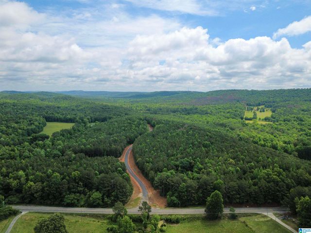 205 CRESCENT COURT, Odenville, AL 35120