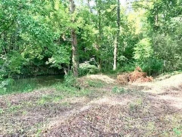 1001 County Road 4110, Woodville, TX 75979