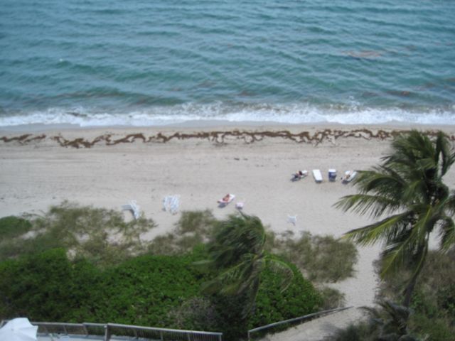 1057 Hillsboro Mile 921, Hillsboro Beach, FL 33062