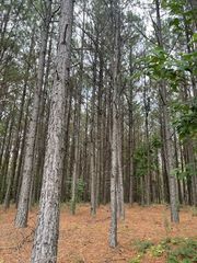 320 Liberty Ridge Rd, Hohenwald, TN 38462
