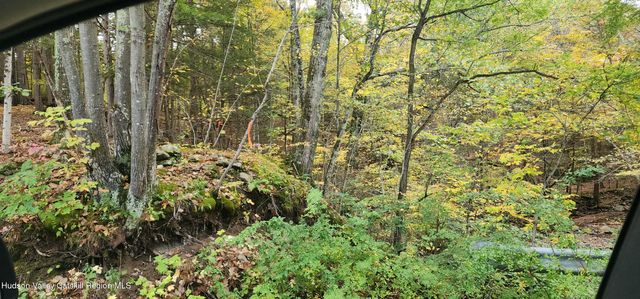 0 Cunningham And Cochrane Road, Durham, NY 12422