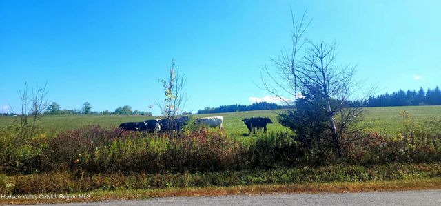 0 Cunningham And Cochrane Road, Durham, NY 12422
