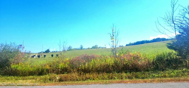 0 Cunningham And Cochrane Road, Durham, NY 12422