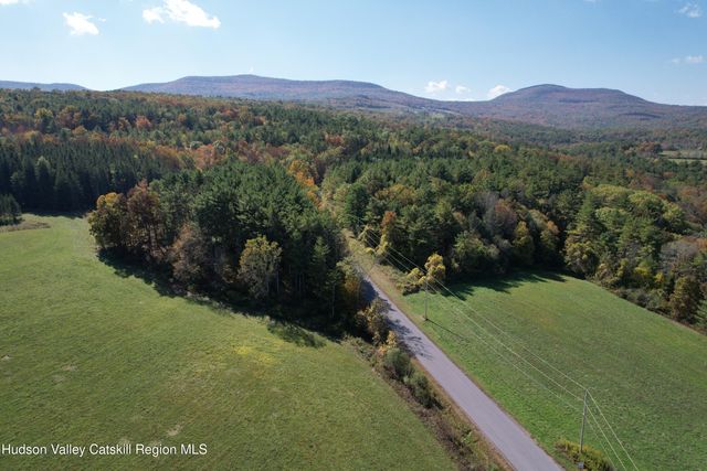 0 Cunningham And Cochrane Road, Durham, NY 12422