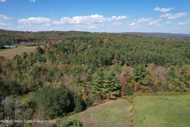 0 Cunningham And Cochrane Road, Durham, NY 12422