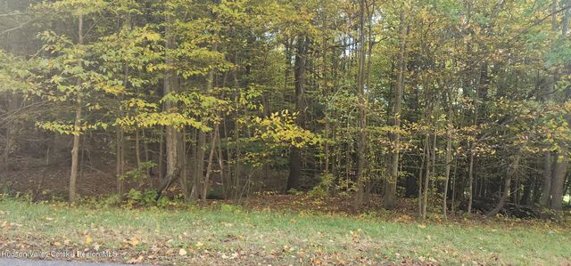 0 Cunningham And Cochrane Road, Durham, NY 12422