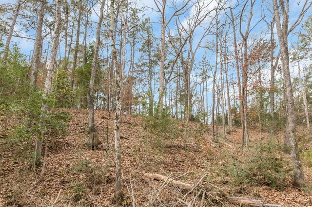 12498 Us Highway 69 N, Colmesneil, TX 75938