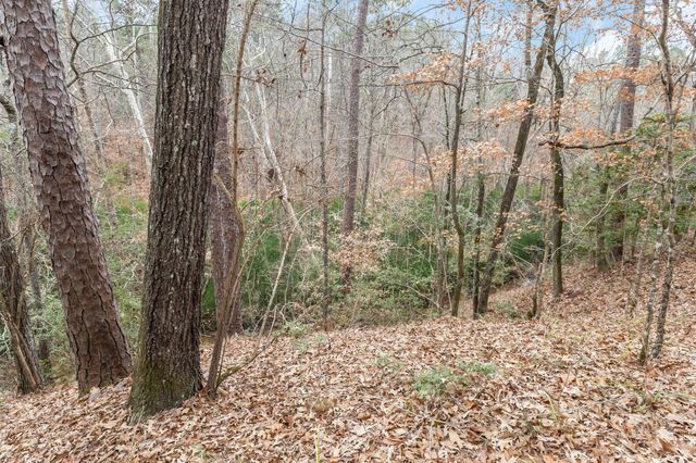 12498 Us Highway 69 N, Colmesneil, TX 75938