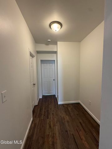346 Madison Avenue 3, Albany, NY 12210