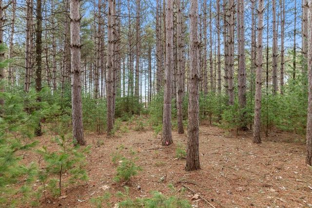 W6471 HIDDEN SPRINGS DRIVE, Neshkoro, WI 54960